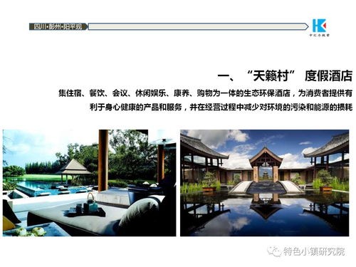 中國道源旅游度假小鎮(zhèn)項(xiàng)目策劃方案